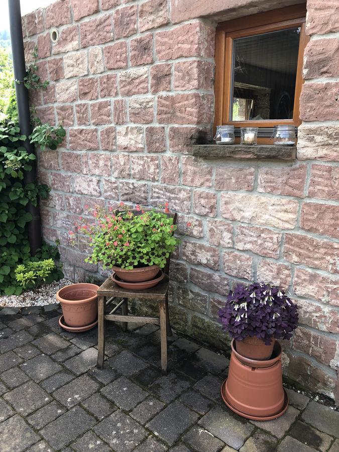 Ferienhaus Werkhof Schönau Kültér fotó